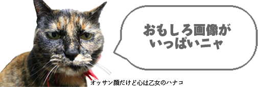 ヘッダー画像